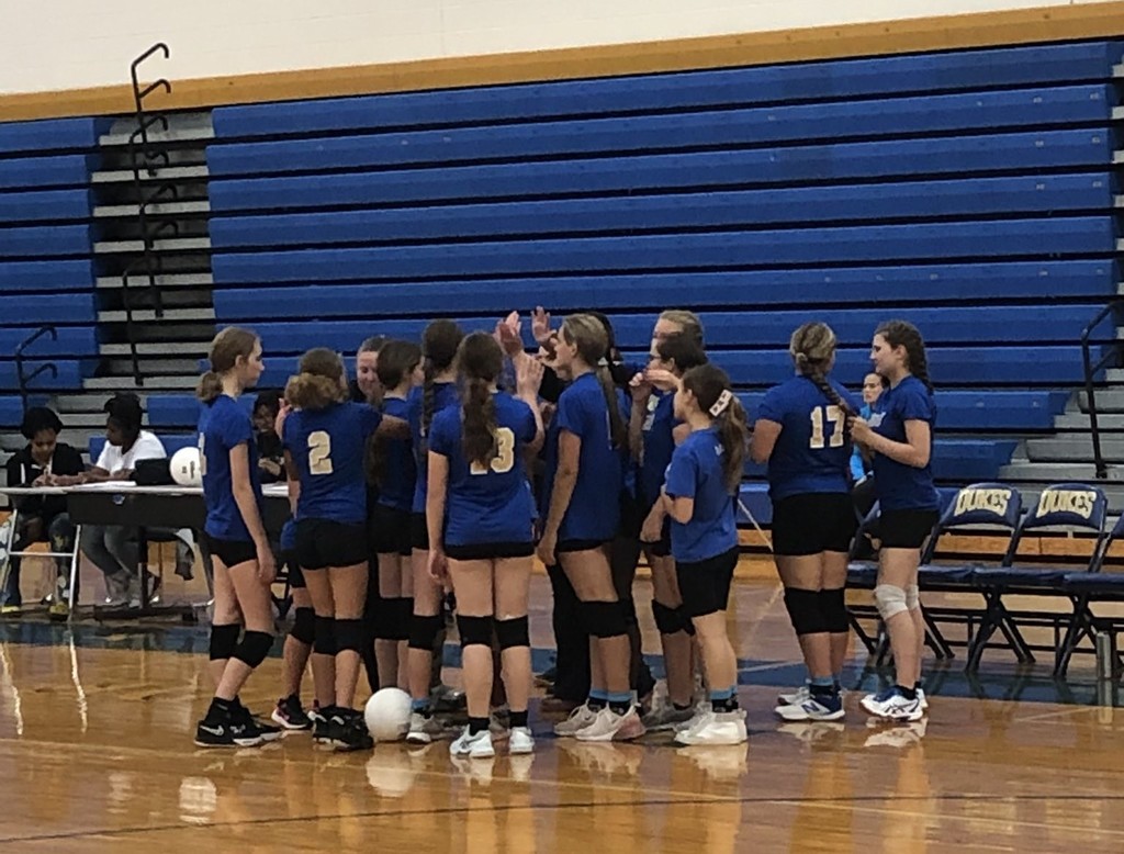 CMS VB