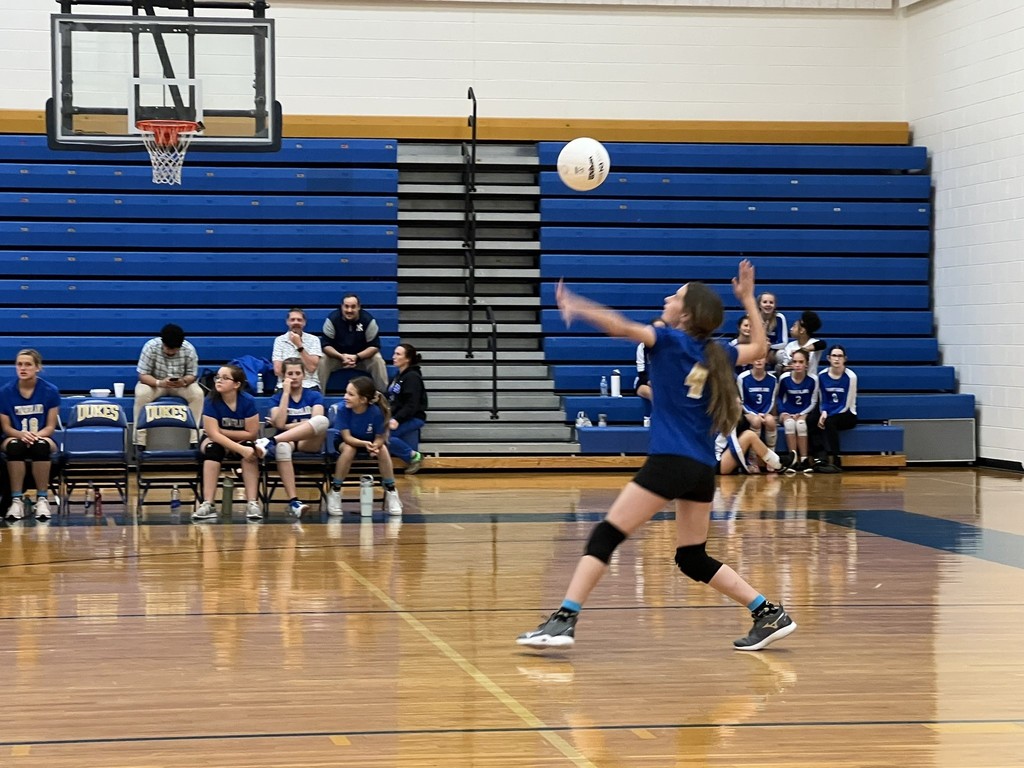 Volleyball