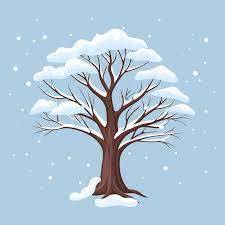 Snow tree
