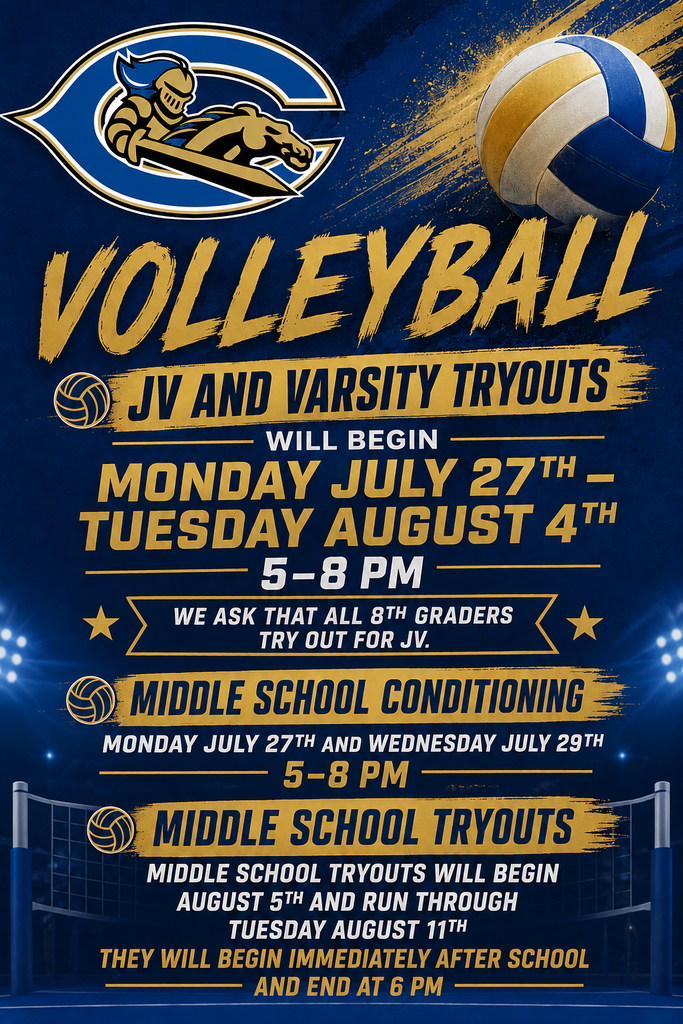 Volleyball poster---all text in article