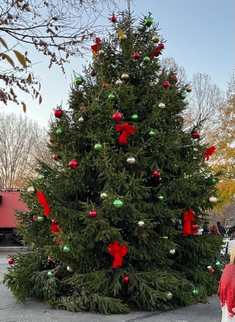 Tree