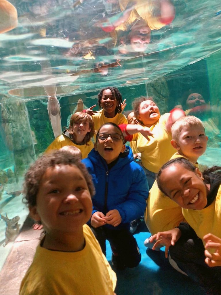 Field Trip