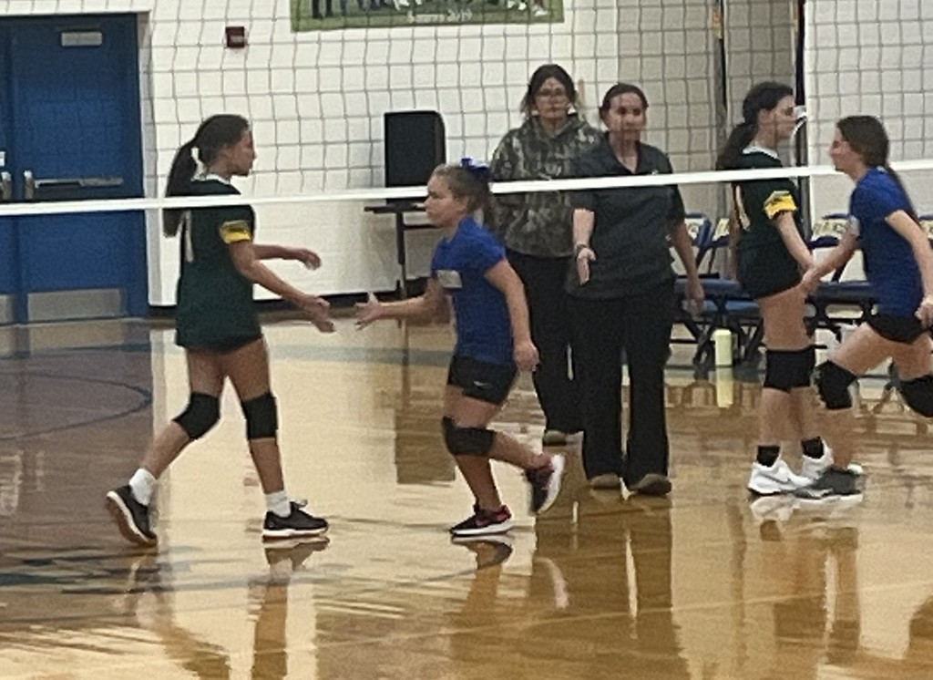 volleyball two