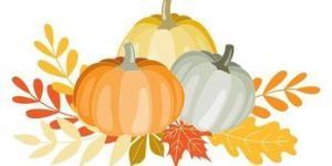 pumpkins on leaves