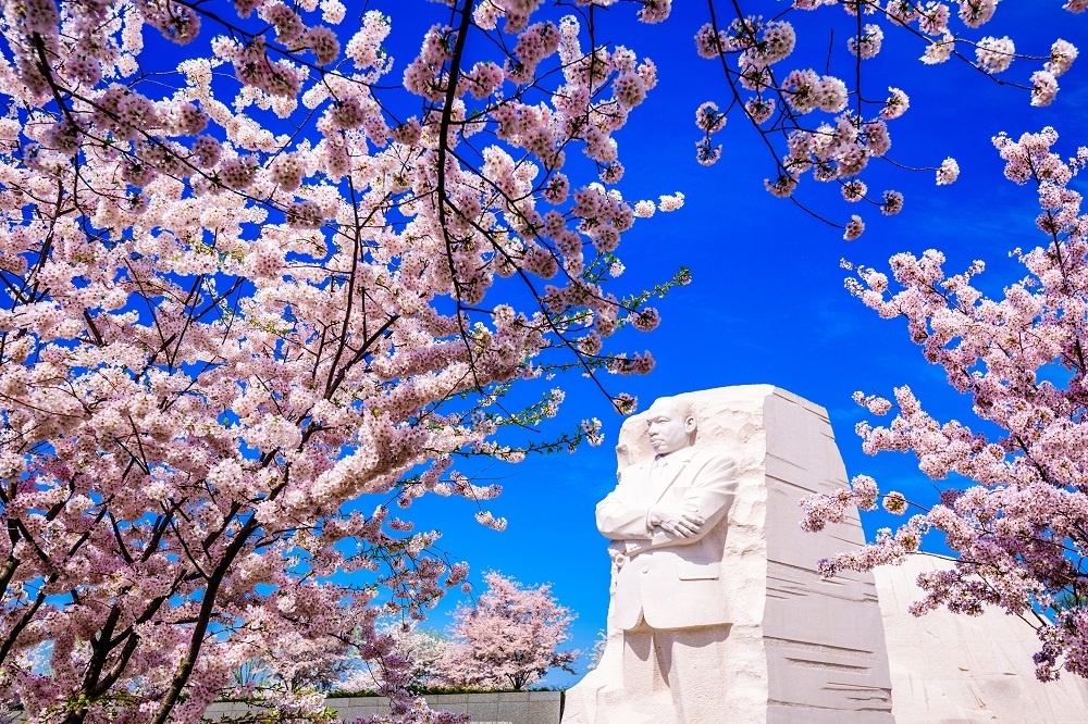 image of MLK memorial
