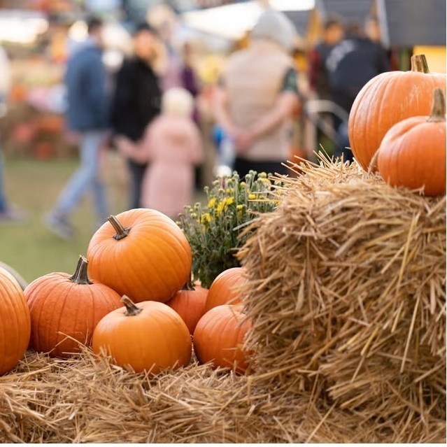 Pumpkins on straw bales