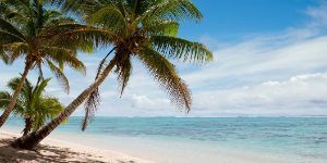 Tropical Beach Scene