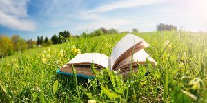 Image of an open book lying on a grassy field