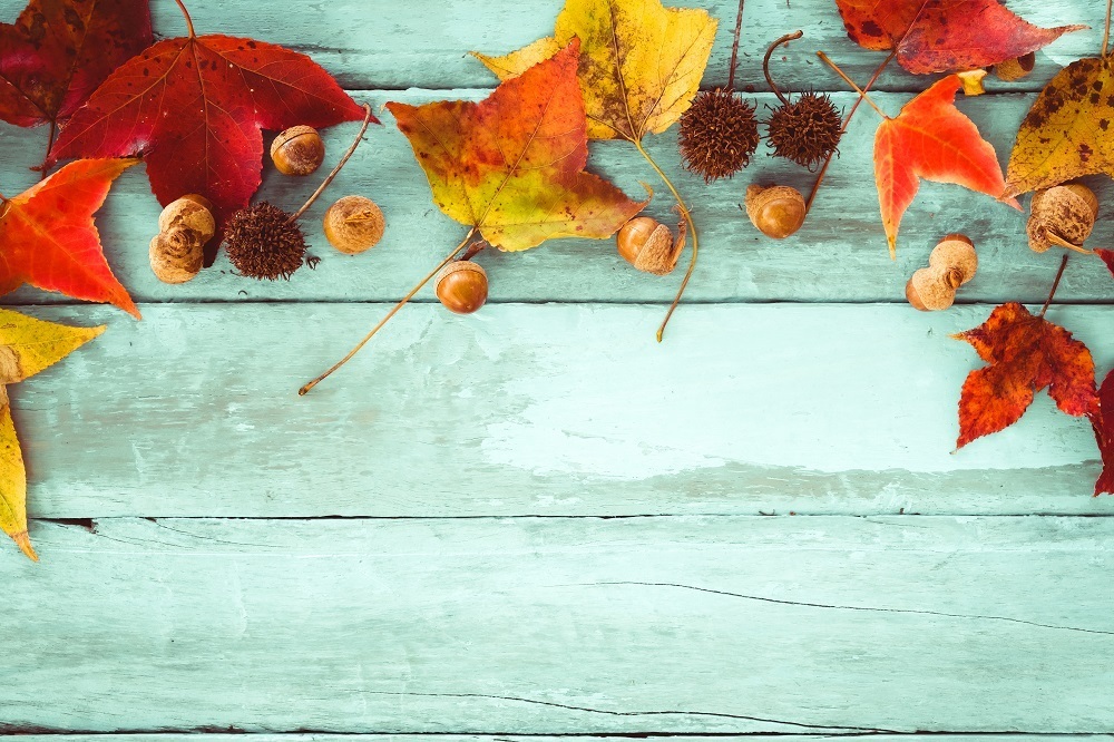 Fall Festival/Curriculum Night College Lakes