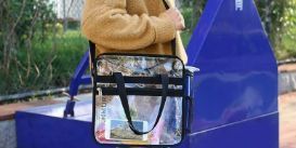 Person carrying a clear bag