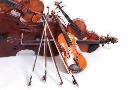 Stringed instruments sitting together