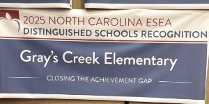 distinguished schools banner