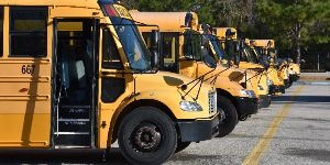 image of yellow school buses