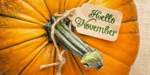 a pumpkin with a tag that says "Hello November"