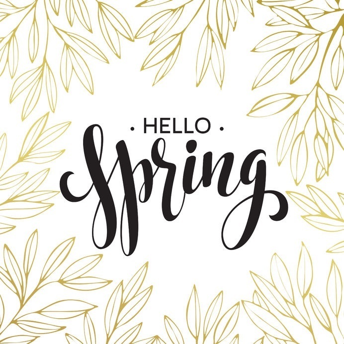 hello spring with flowers