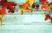 Image of fall leaves laying on wood