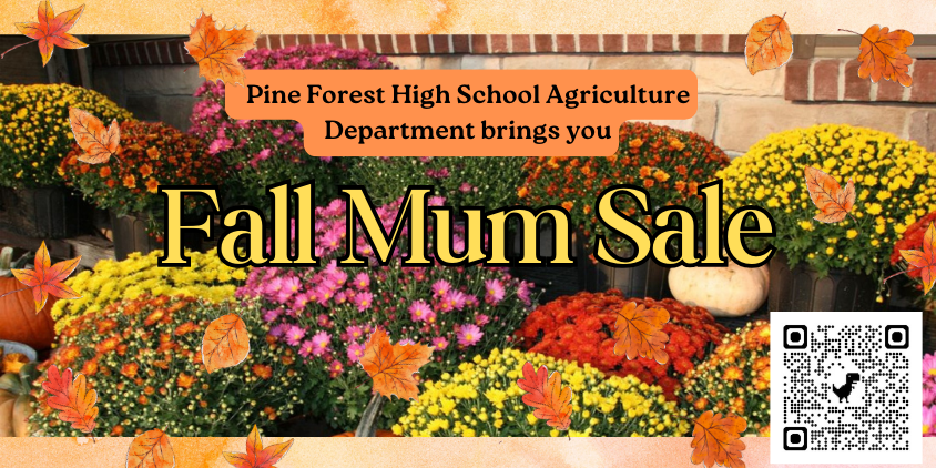 Fall Mum Sale 2025