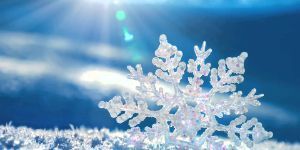 Snowflake sitting on a snowbank