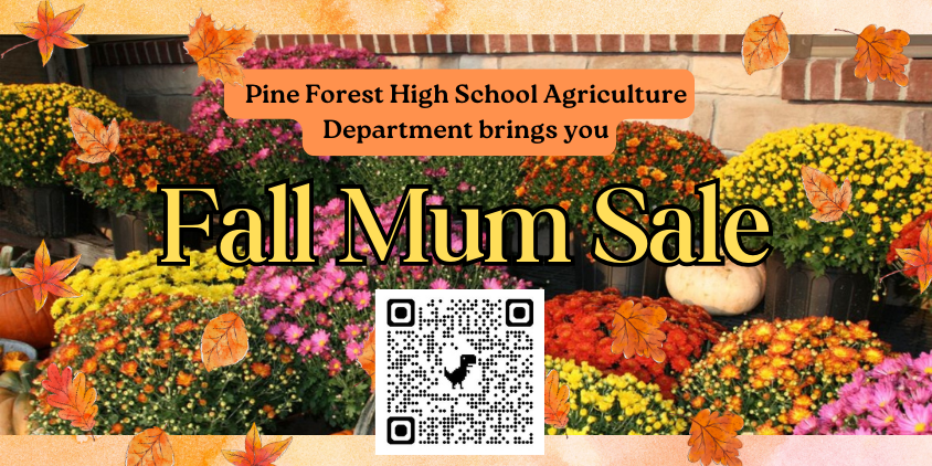 Fall Mum Sale 2025