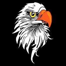 image of an eagle