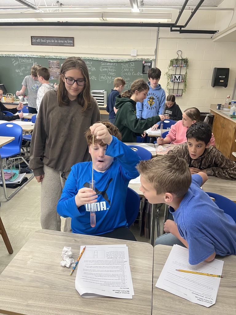 Students are extracting DNA from a strawberry in a science experiment.