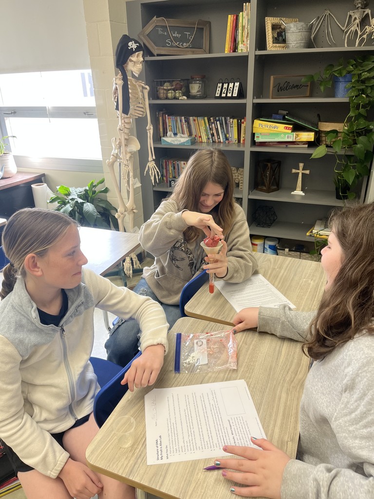 Students are extracting DNA from a strawberry in a science experiment.