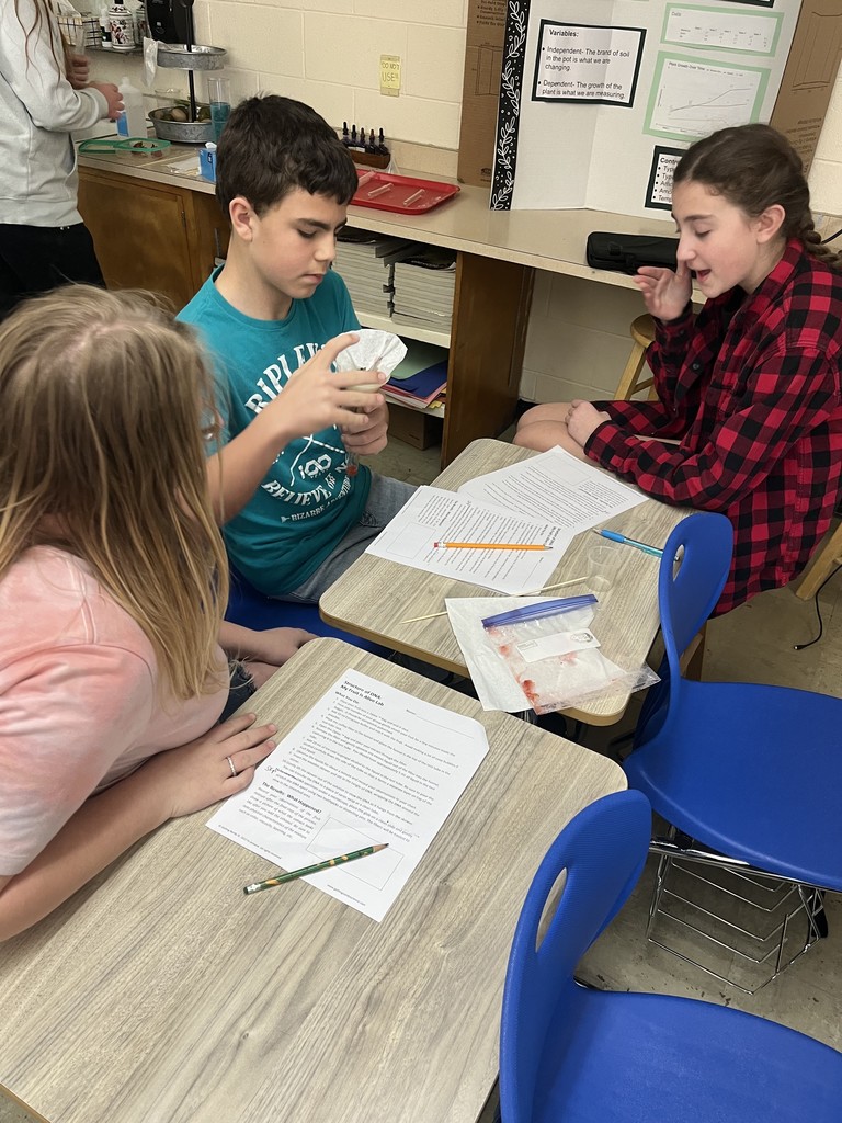 Students are extracting DNA from a strawberry in a science experiment.