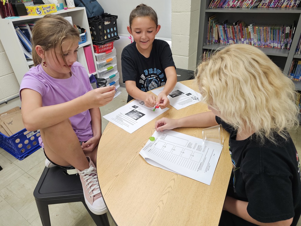 Students are working collaboratively to save Fred.