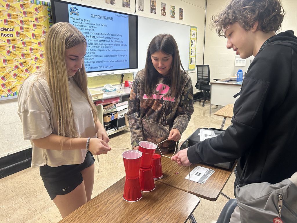 Students are collaborating to build a cup tower.