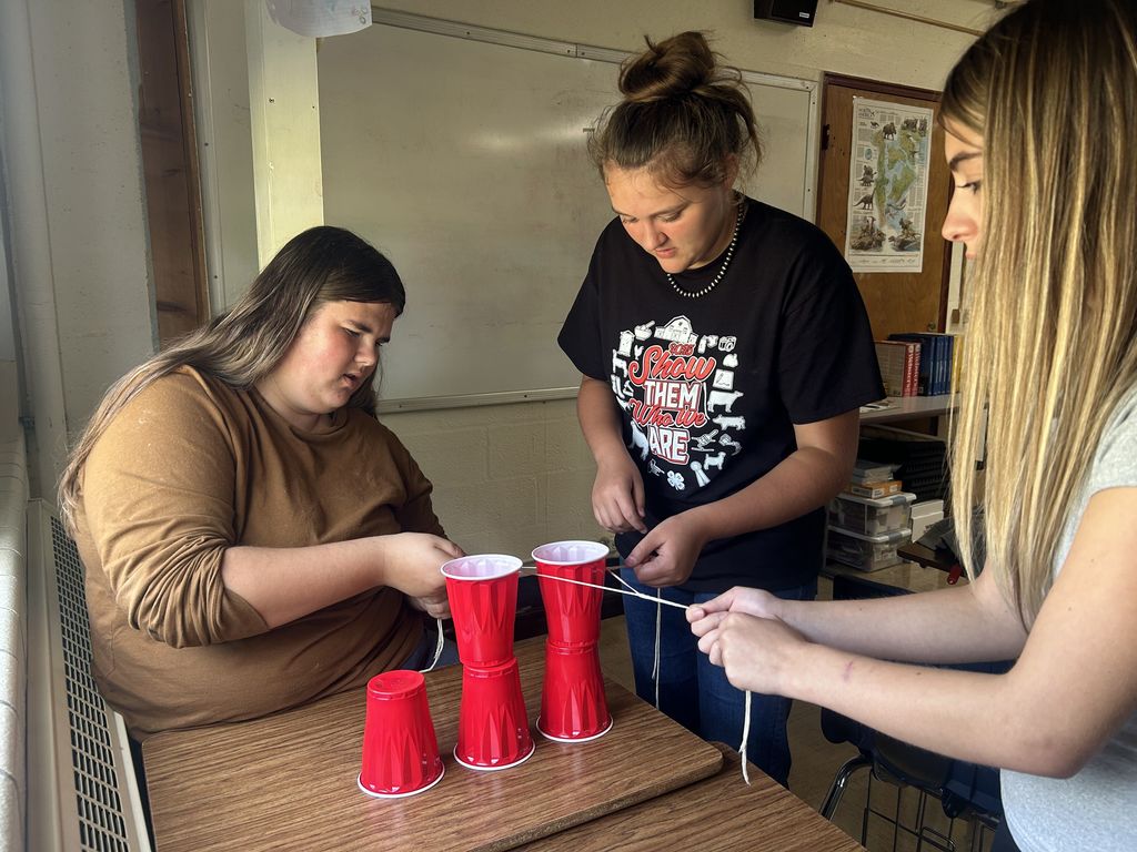 Students are collaborating to build a cup tower.