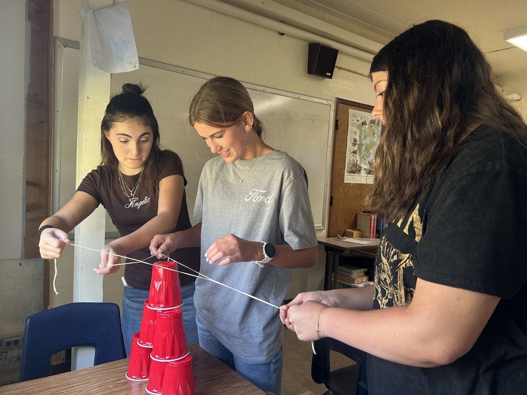 Students are collaborating to build a cup tower.