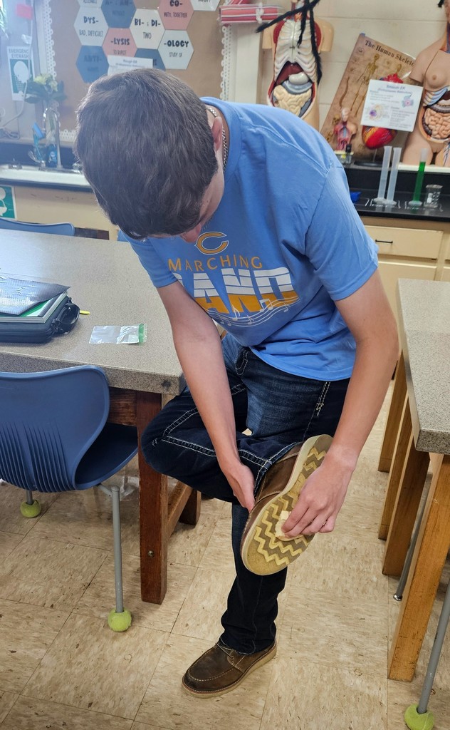 Students are swabbing items for fungi. 