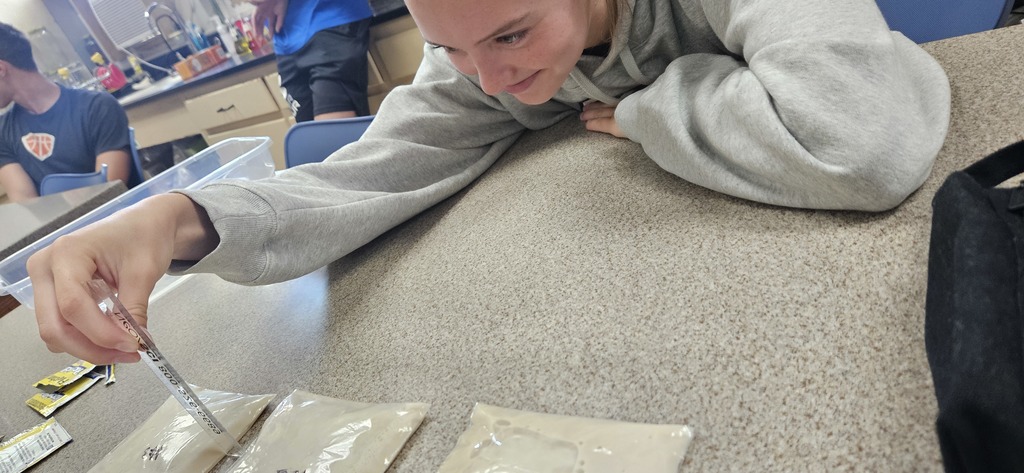 Students are investigating yeast food preferences. 