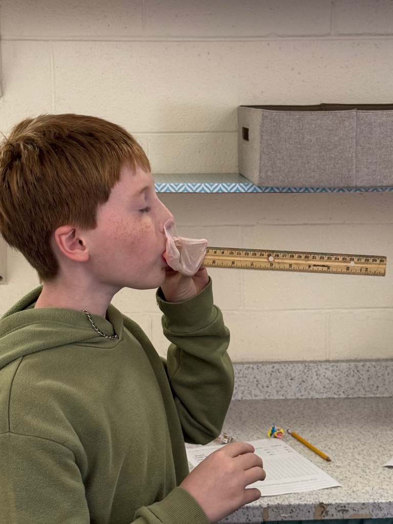 Students are blowing bubbles and measuring their size. 