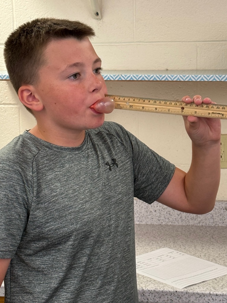 Students are blowing bubbles and measuring their size. 