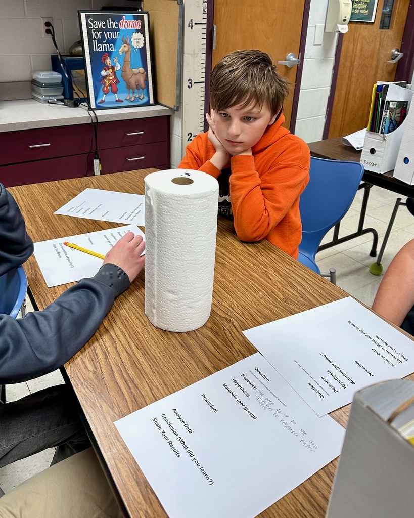 The students are preparing an experiment to find the best paper towel. 