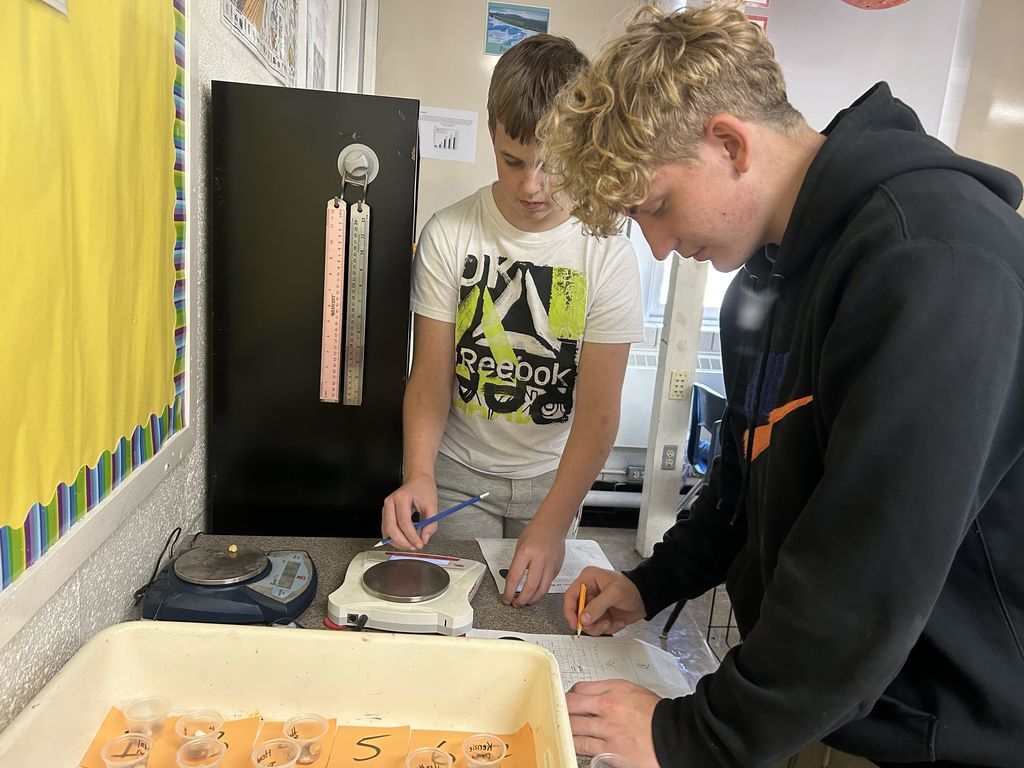 The students are using their new understanding of SI units to measure some beans and hypothesize what would happen when they were left in water overnight.