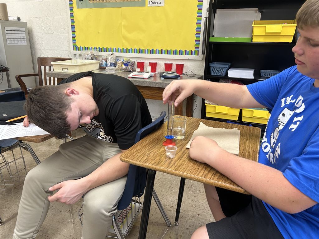 The students are using their new understanding of SI units to measure some beans and hypothesize what would happen when they were left in water overnight.