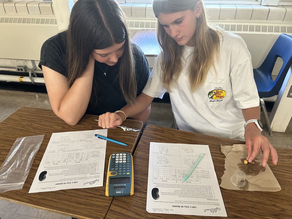 The students are using their new understanding of SI units to measure some beans and hypothesize what would happen when they were left in water overnight.