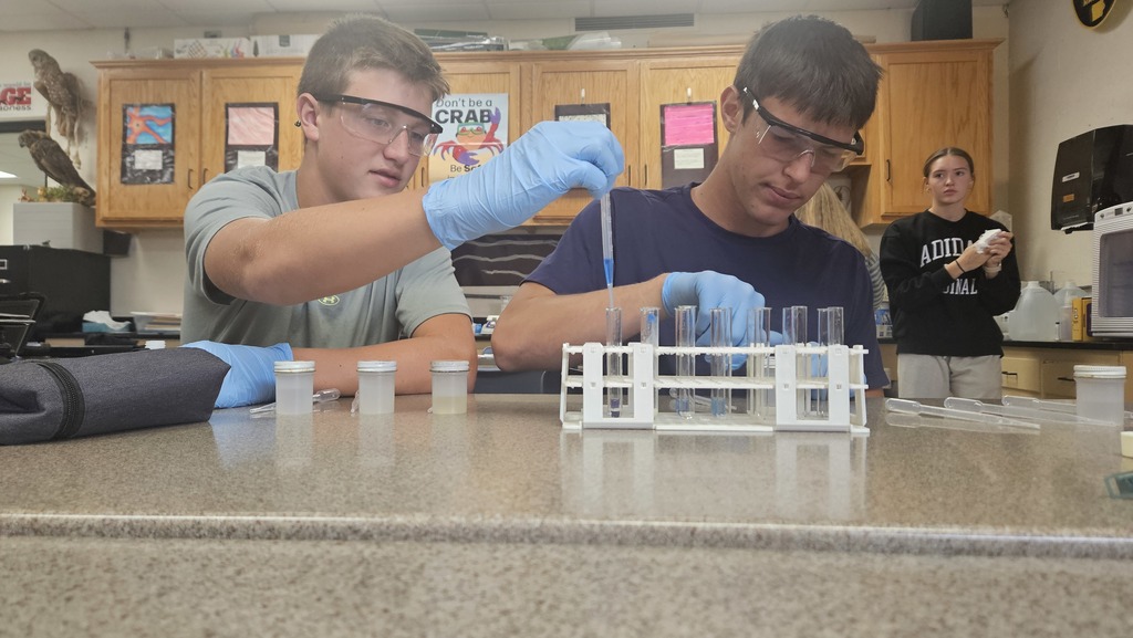 Bio 1 tests foods for macromolecules