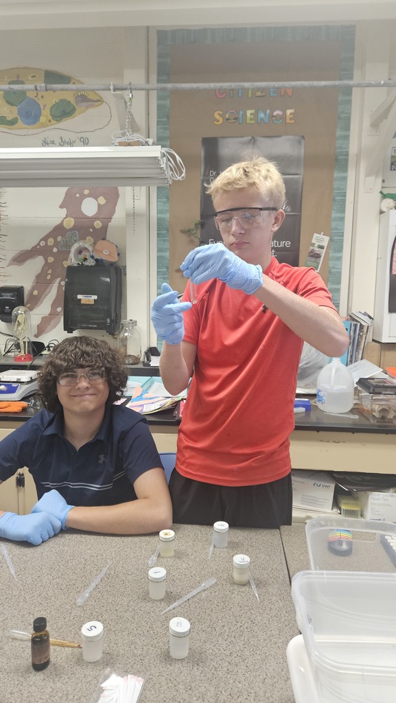 Bio 1 tests foods for macromolecules
