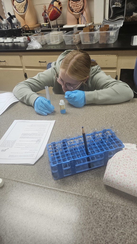 Bio 1 tests foods for macromolecules