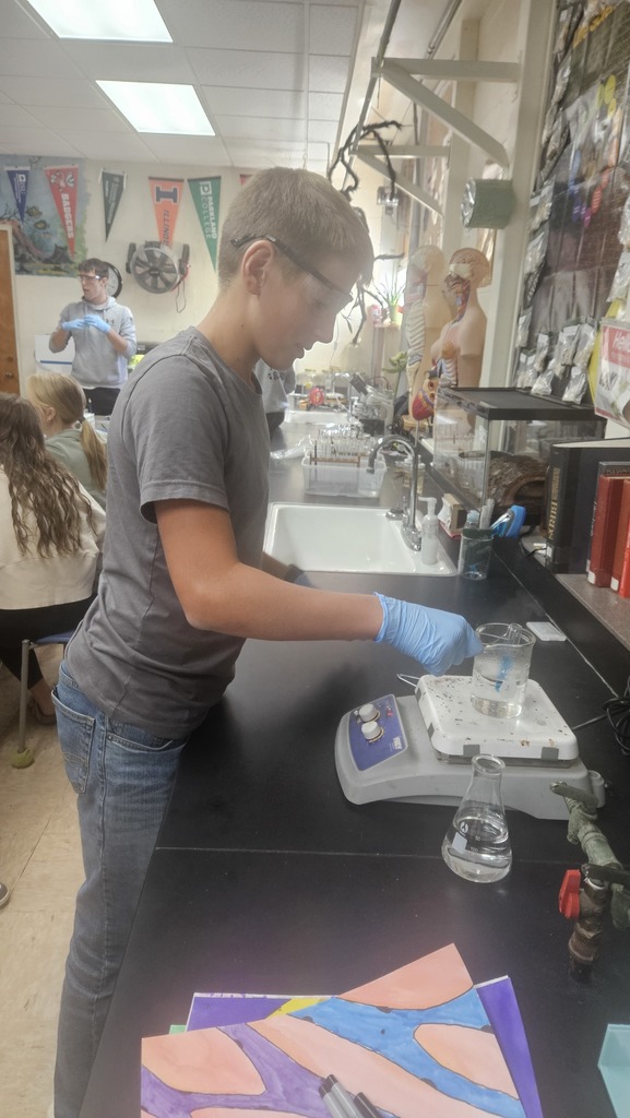 Bio 1 tests foods for macromolecules
