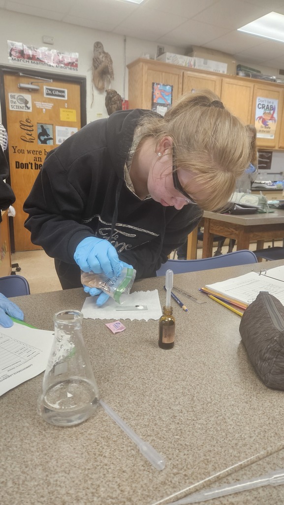 A student is experimenting to find the hidden sugars in foods. 
