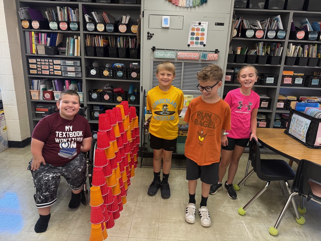 A group of students have stacked cups to create a tower.. 