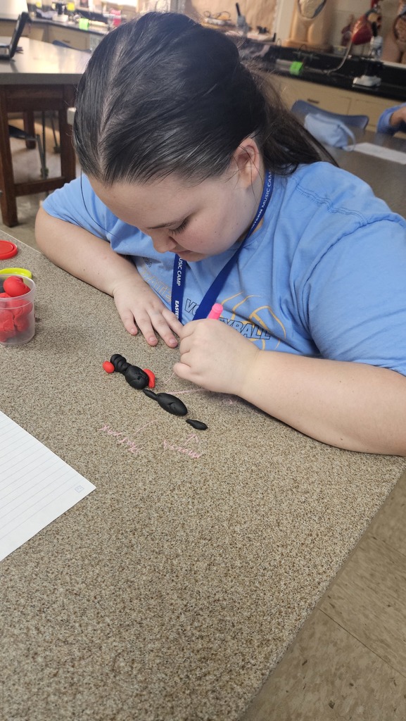 A student is using playdoh to create the anatomy of an animal.