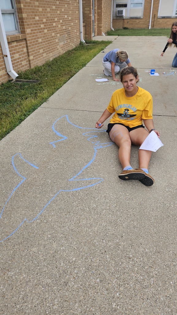 A student is drawing the anatomy of an animal on the sidewalk.