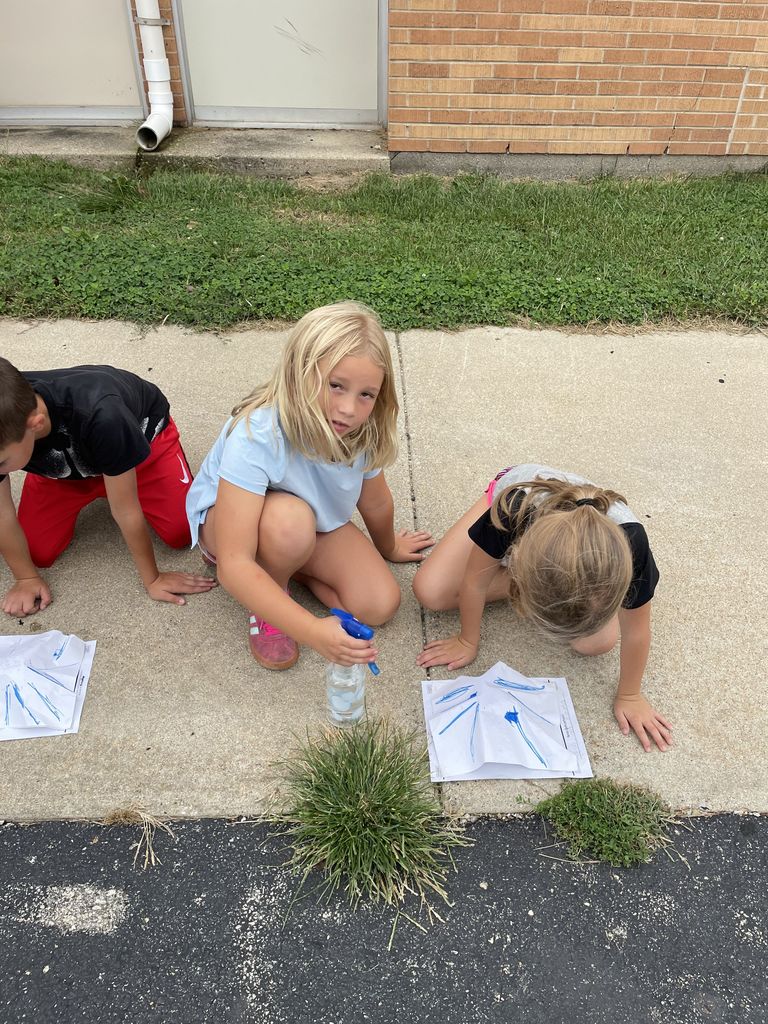 Students are adding water to the mountains. 