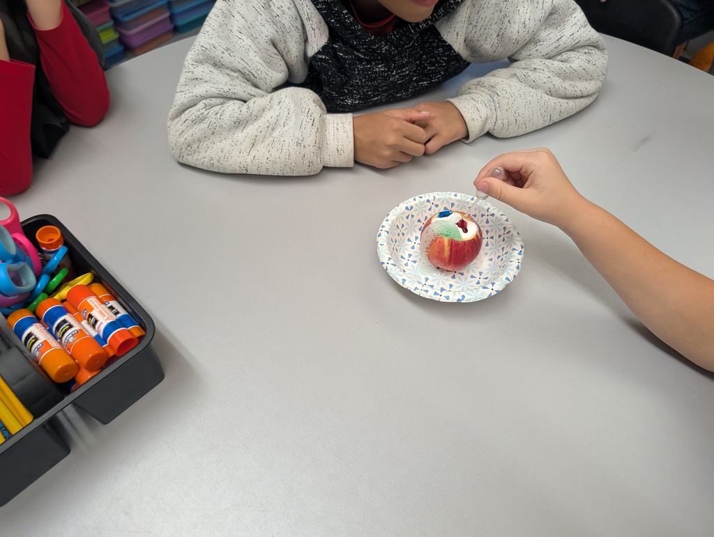 Students created a volcano with an apple. 