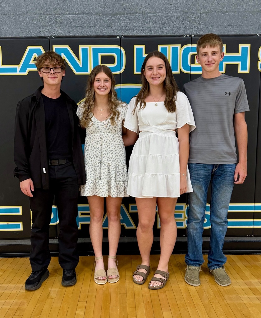 Pictured are the sophomore attendants.